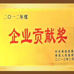 企業(yè)貢獻(xiàn)獎